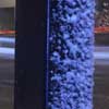 Snow Pole